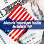 ¿Cómo aplicar para TANF y recibir asistencia económica?