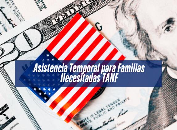 como aplicar para TANF